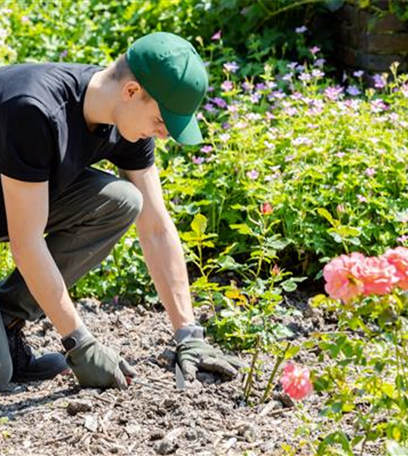 Schöne neue Welt – Automatisierung im Garten