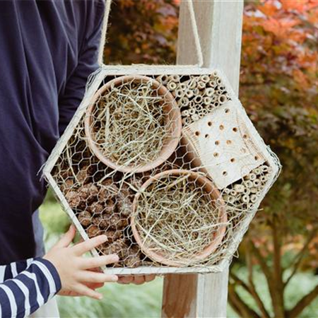 Ein Insektenhotel im Garten - Urlaub für Biene und Co.