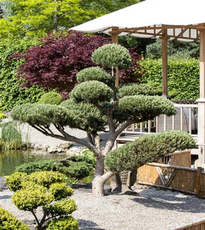 Ruhe und Erholung im japanischen Garten