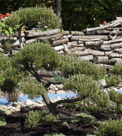 Ruhe und Erholung im japanischen Garten