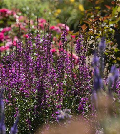 Wellness im eigenen Garten - Oasen schaffen