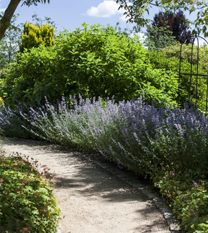 Sie sind bewegend! Wege, die durch den Garten führen.