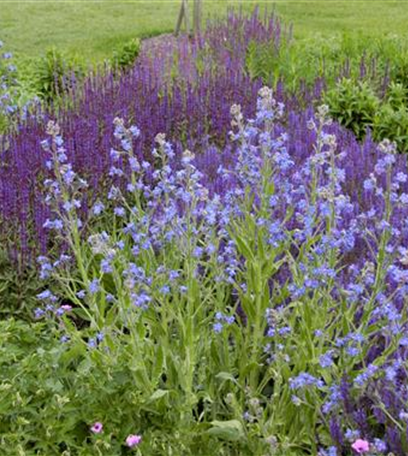 Natürlicher Pflanzenschutz: es muss nicht gleich die Chemie-Keule sein