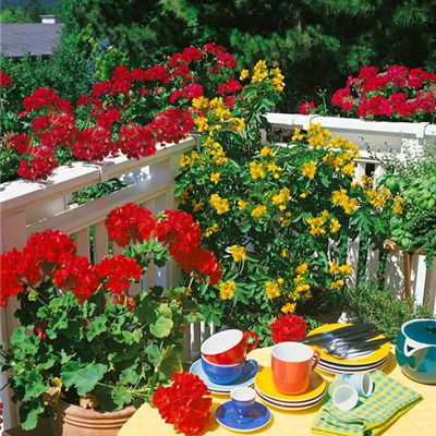 Den Sommer voll auskosten: das perfekte Sommerfest im Garten