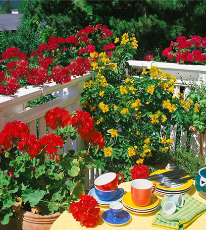 Den Sommer voll auskosten: das perfekte Sommerfest im Garten