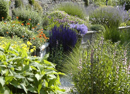 Das Staudenbeet – ein Blütenmeer im Garten Das Staudenbeet – ein Blütenmeer im Garten