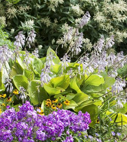 Stauden und Blumenzwiebeln kombinieren