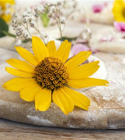 Blumenanhänger aus Salzteig – der Sommer wird bunt!