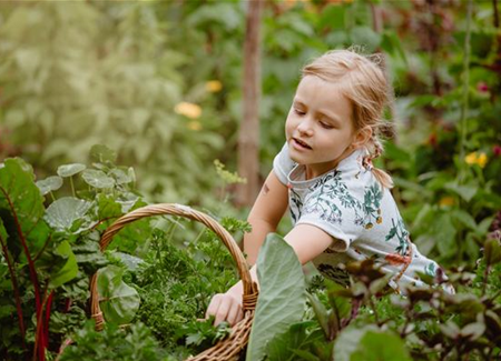 Jetzt kann geerntet werden! Kinder spielerisch einbeziehen Jetzt kann geerntet werden! Kinder spielerisch einbeziehen