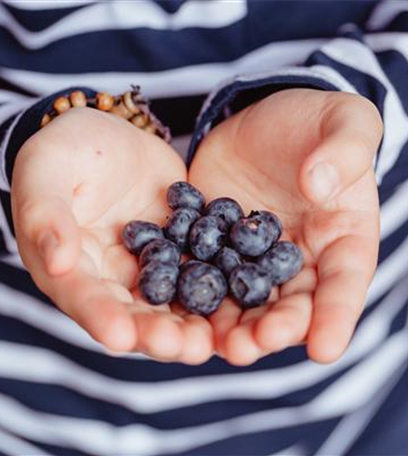 Jetzt kann geerntet werden! Kinder spielerisch einbeziehen