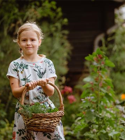 Jetzt kann geerntet werden! Kinder spielerisch einbeziehen