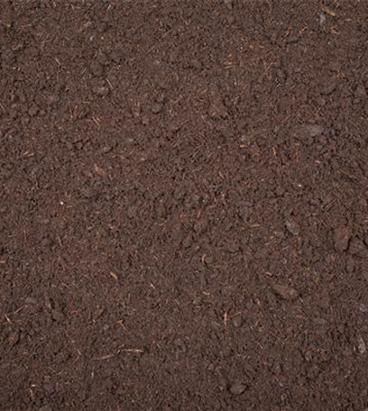 Rollrasen richtig verlegen - Tipps & Tricks