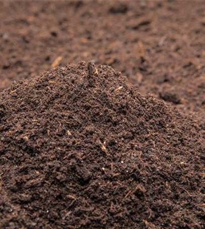 Rollrasen richtig verlegen - Tipps & Tricks