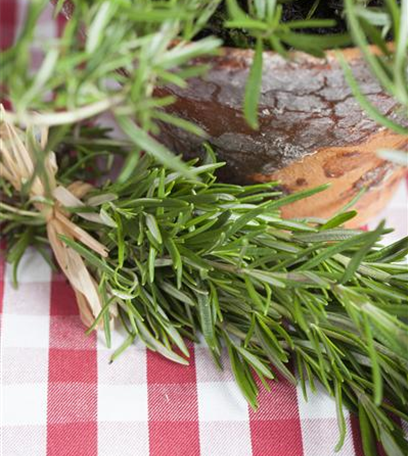 Kulinarischer Gaumenschmaus: Räuchern im eigenen Garten