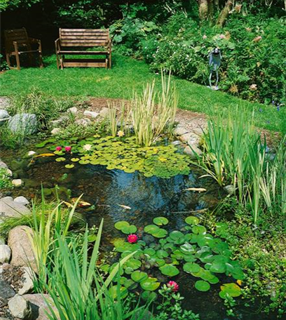 So machen Sie Ihren Miniteich winterfit