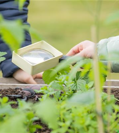 Hoch hinaus! Ein Hochbeet für Gemüse und Co.