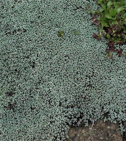 Der Gartenboden – jeder braucht mal Unterstützung