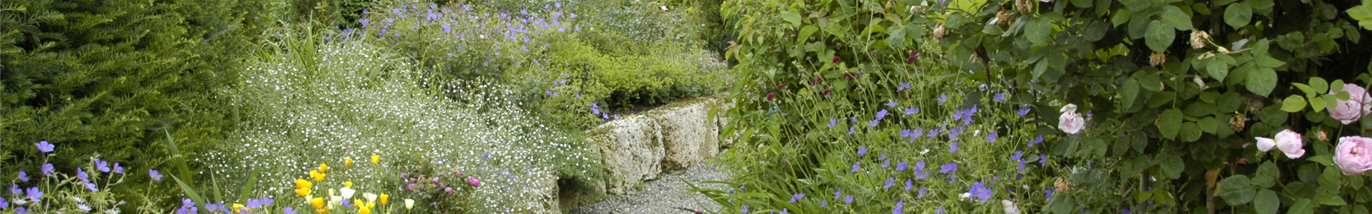 Kiesweg im Garten Kiesweg im Garten