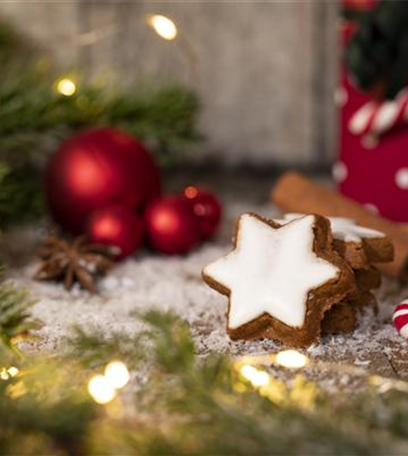 Grüne Kugeln – die etwas andere Weihnachtsdeko