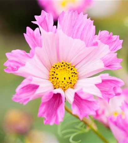 Upcycling mit Milchtüten – aus alt mach neu!