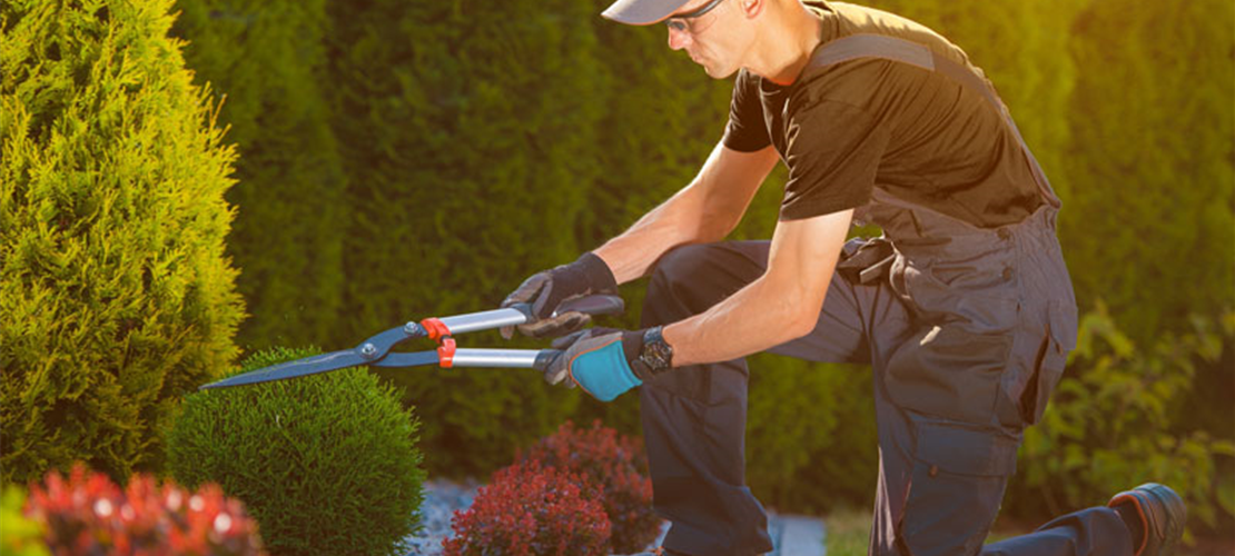 Eine Übersicht über unsere Serviceleistungen: Bild