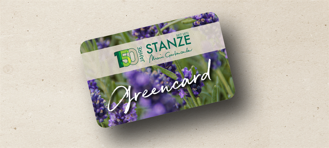 Sie haben noch keine Greencard? Bild