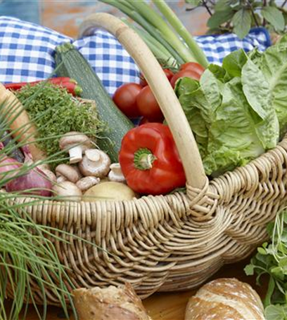 Das Pflanzen von Gemüse