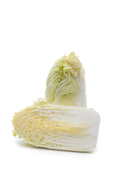 Chinakohl 'Chorus F1' Chinakohl 'Chorus F1'