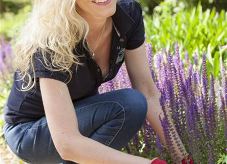 Den Boden im Garten verbessern Den Boden im Garten verbessern