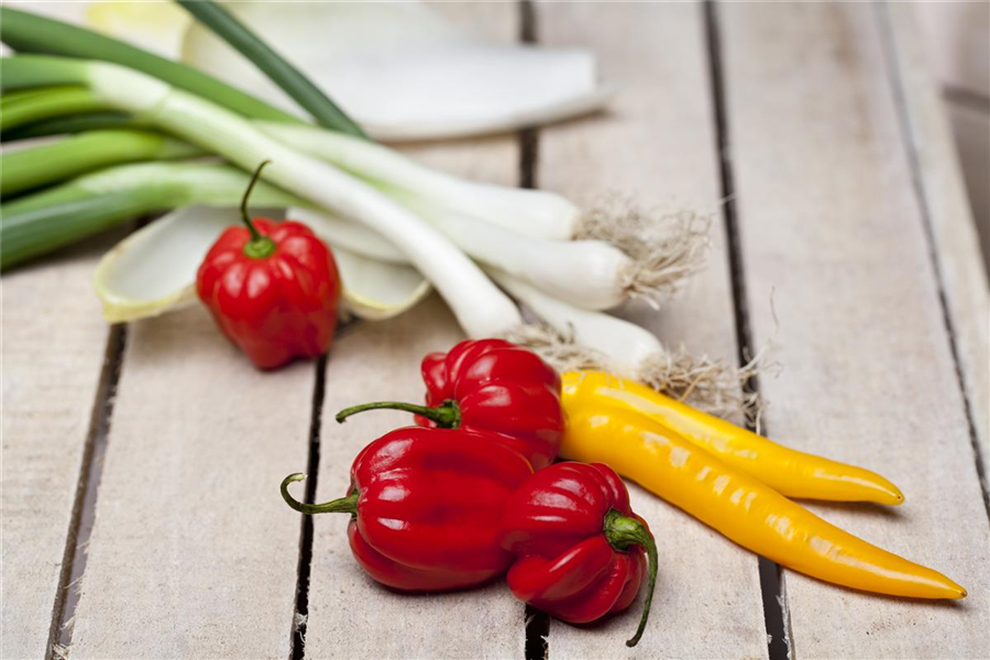 Winter-Zwiebel Winter-Zwiebel