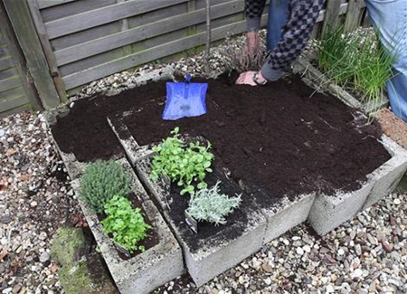 Kräuter - Einsetzen in Pflanzsteine Kräuter - Einsetzen in Pflanzsteine