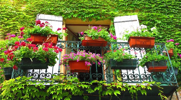 Beet und Balkon.jpg