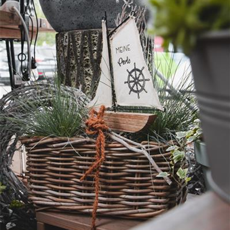 Dekoration Dekoration