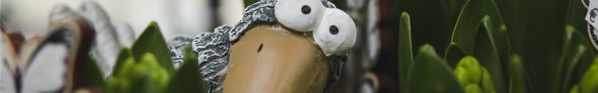 stanze-gartencenter-hannover (26)