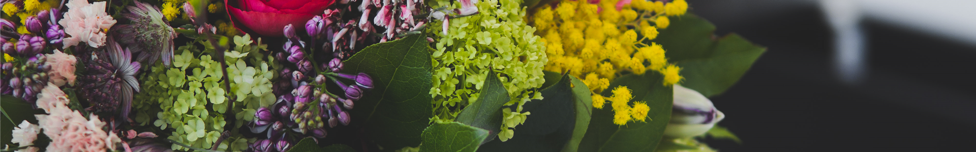 stanze-gartencenter-hannover (25)