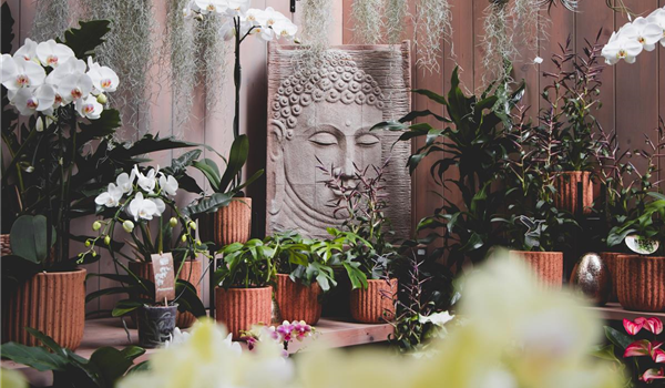 stanze_hemmingen_hannover_pflanzgefäße_töpfe_8