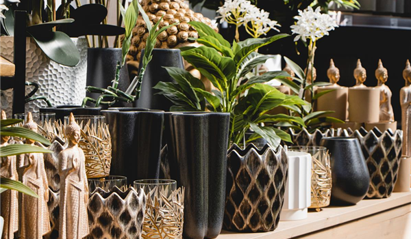 stanze_hemmingen_hannover_pflanzgefäße_töpfe_2