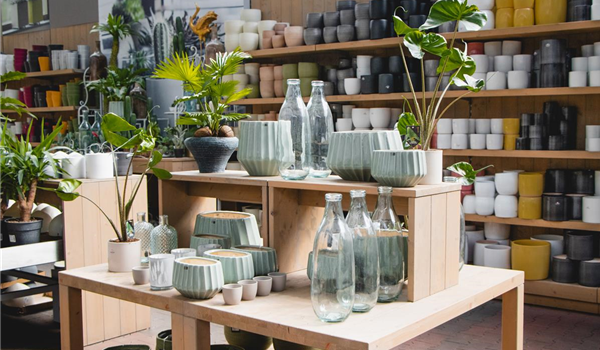 stanze_hemmingen_hannover_pflanzgefäße_töpfe_3