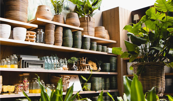 stanze_hemmingen_hannover_pflanzgefäße_töpfe_4