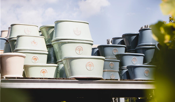 stanze_hemmingen_hannover_pflanzgefäße_töpfe_6