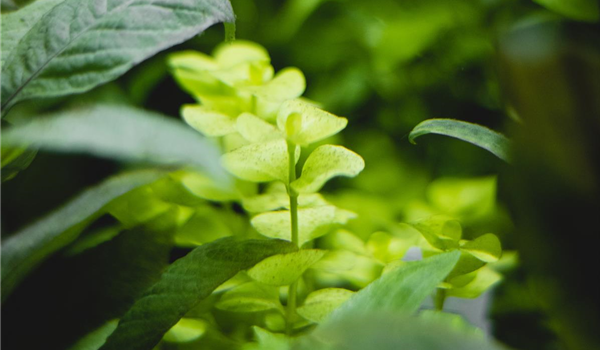 stanze_hemmingen_hannover_aquaristik_0 stanze_hemmingen_hannover_aquaristik_0