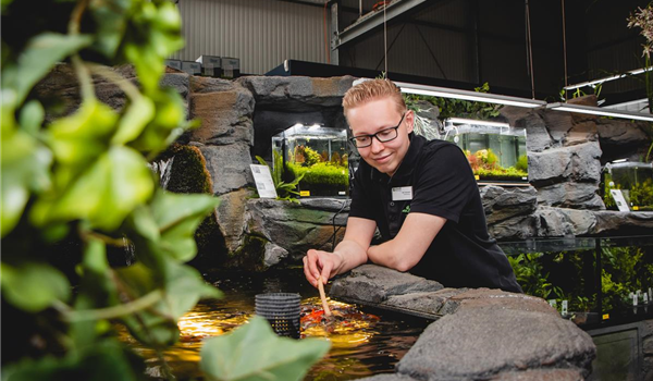 stanze_hemmingen_hannover_aquaristik_1 (1) stanze_hemmingen_hannover_aquaristik_1 (1)