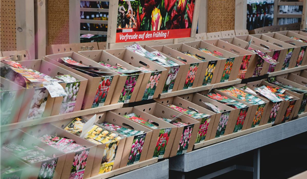 stanze_hemmingen_hannover_saatgut_4