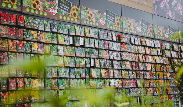 stanze_hemmingen_hannover_saatgut_1