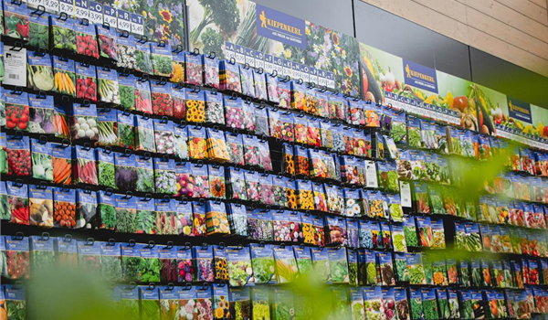 stanze_hemmingen_hannover_saatgut_2