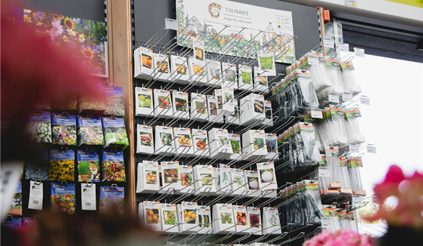 stanze_hemmingen_hannover_saatgut_3