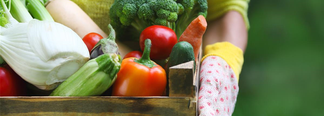 Bio-Siegel Bild Bio-Siegel Bild