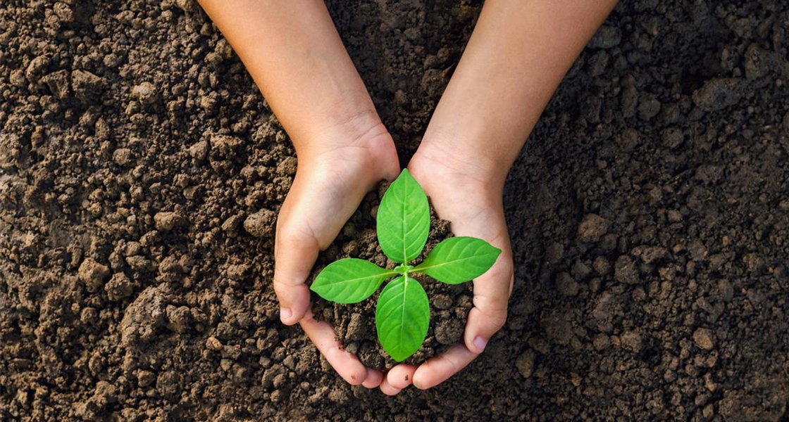 MPS und GlobalG.A.P Bild MPS und GlobalG.A.P Bild