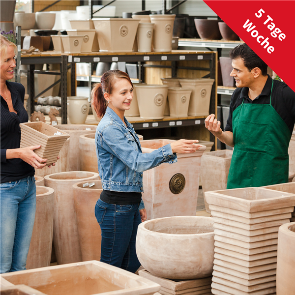 Verkäufer Kalthalle (m/w/d)