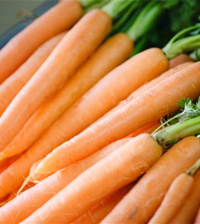 Das Pflanzen von Gemüse